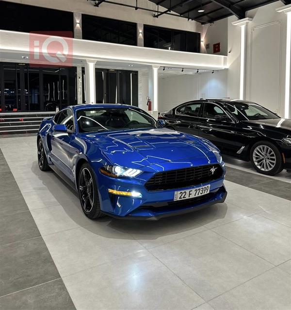 iQ Cars The Largest Online Car Marketplace in Iraq